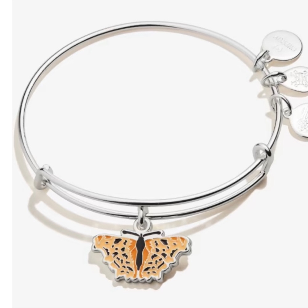 Alex and Ani “Grounded” bracelet